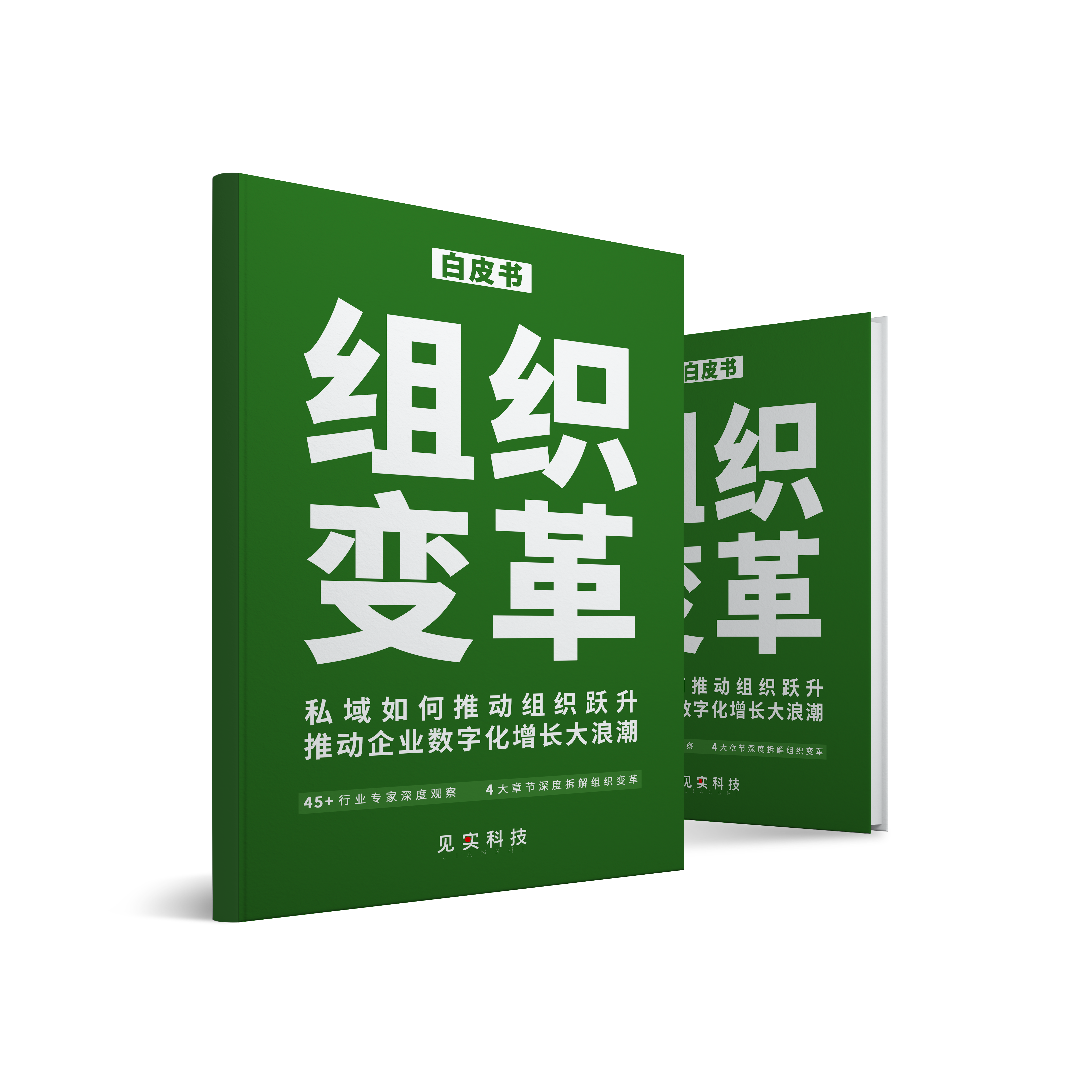 见实科技《组织变革：私域如何推动组织跃升和企业数字化增长大浪潮》白皮书全版